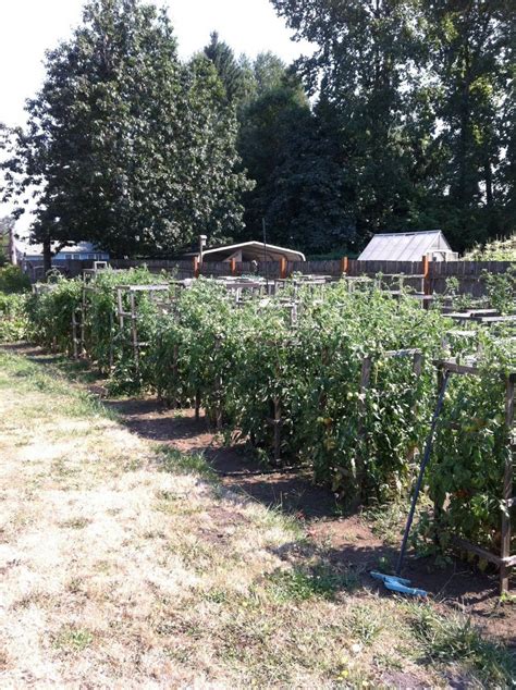 Handled daily by adults and children. . Visalia craigslist farm and garden